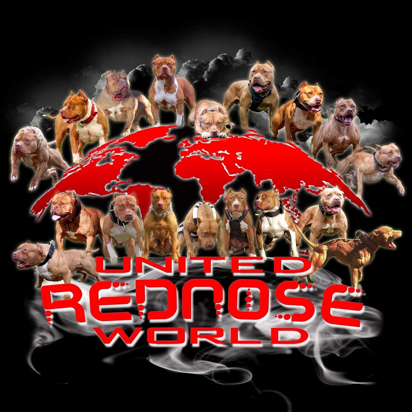 "Brandys" 1st born son Boo Dog β Red Rozin Male #3 DOB 9/15/23
