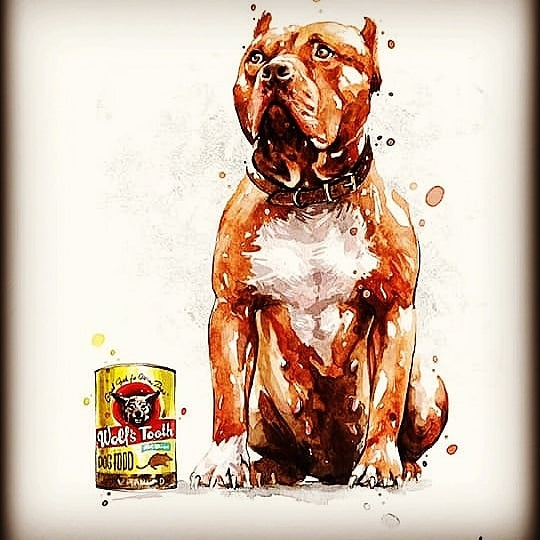 "Brandys" 1st born son Boo Dog β Red Rozin Male #3 DOB 9/15/23
