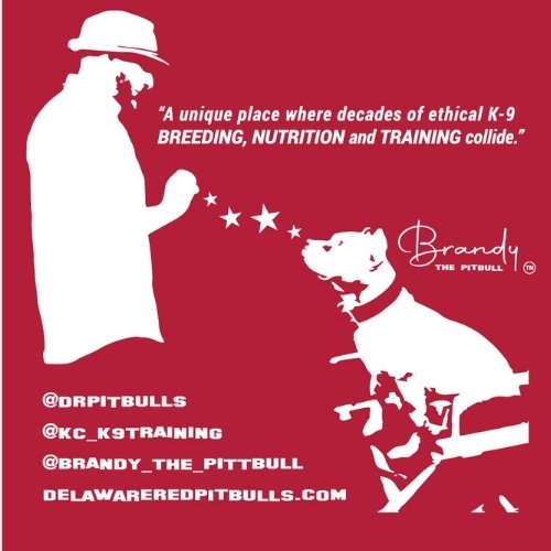KC K-9  T-Shirts