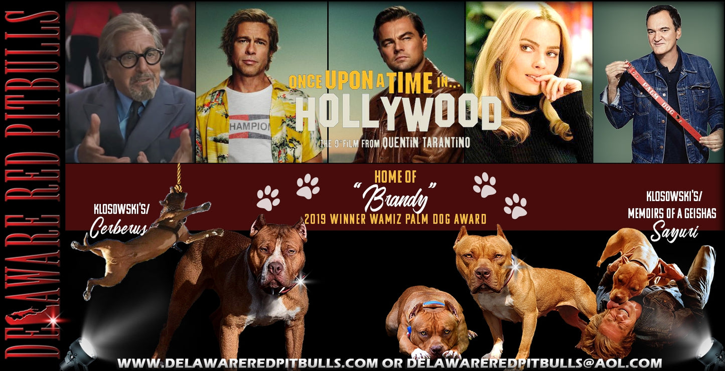 Movie - Once Upon A Time in Hollywood