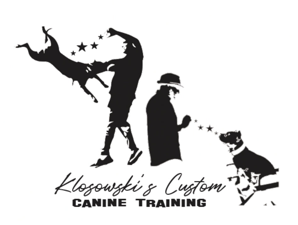 Tier 1 -  Klosowski's AKC- CGC (Canine Good Citizen) Package