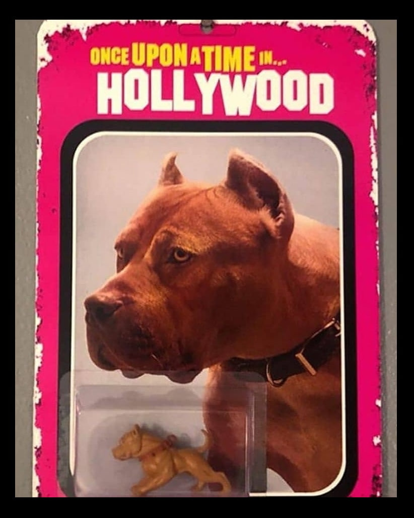 Brandy Pawtographed Official Picture. LIMITED