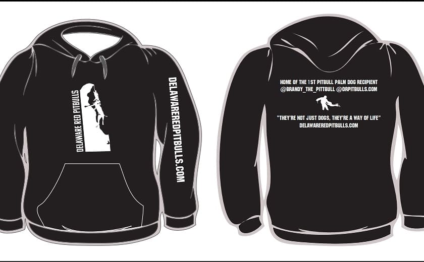 🚨 New Champion Hoodies 🚨 Black w/ White Logo 🩸 New 2021 line 🩸 Soft High Qaulity Champion Brand