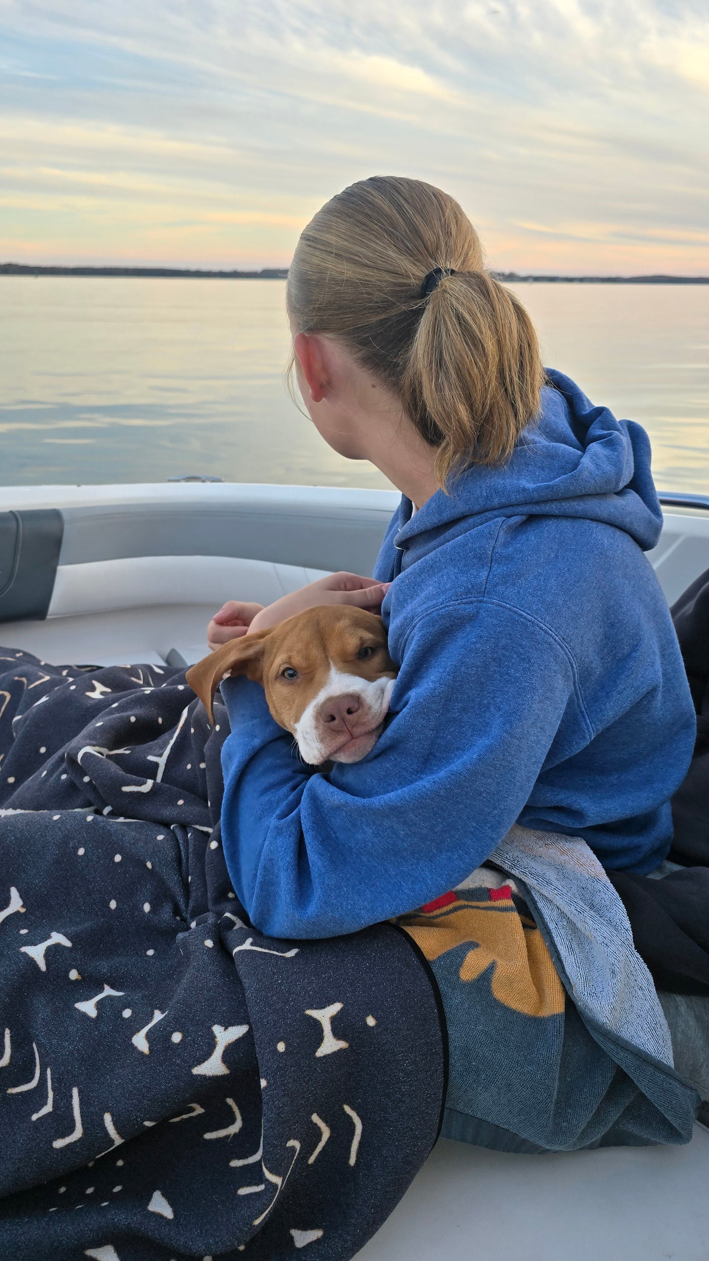 PR Cerberus aka Brandy The Pitbull TM ⚔ PR Boojee daughter * " Chili "  *  NOW READY