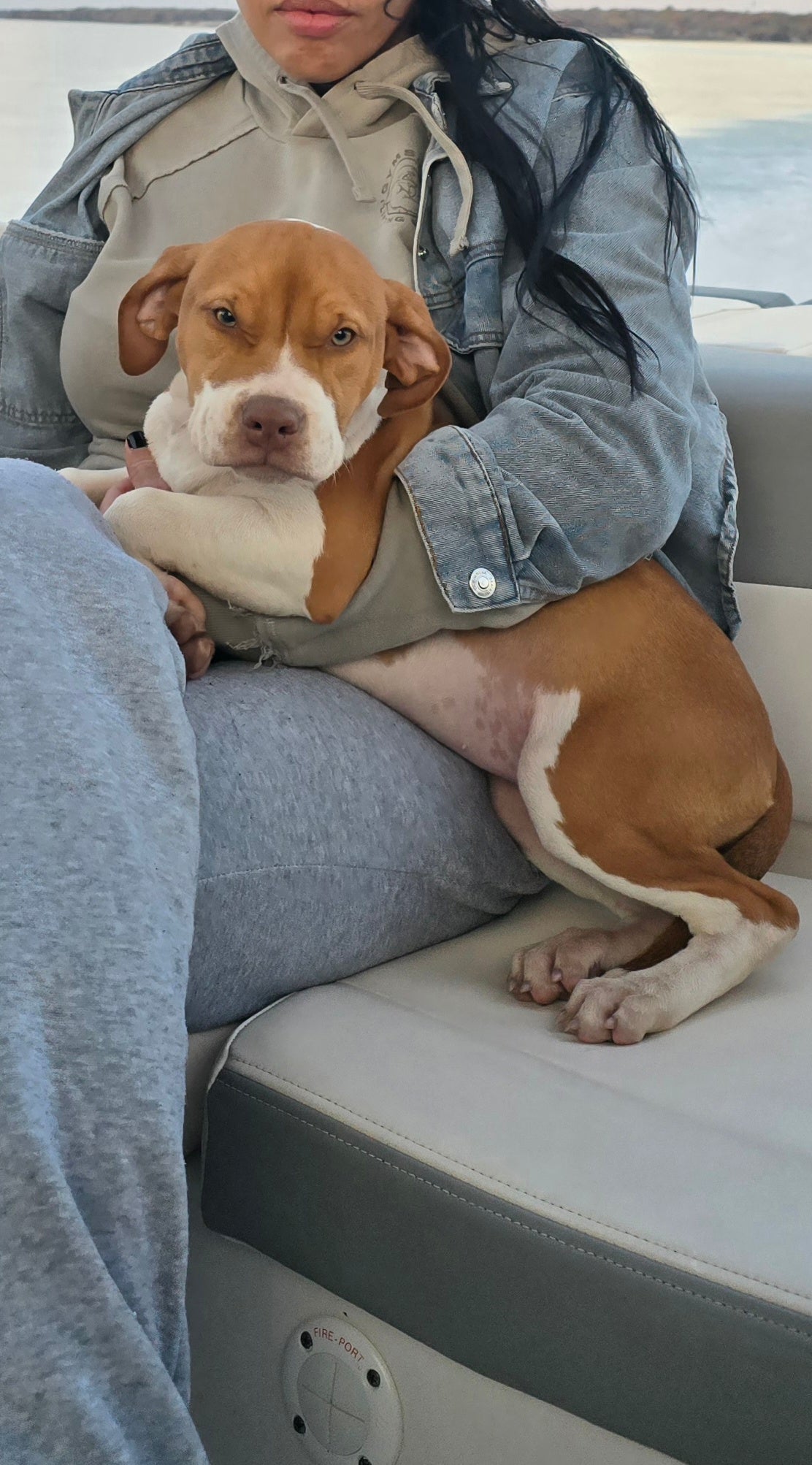 PR Cerberus aka Brandy The Pitbull TM ⚔ PR Boojee daughter * " Chili "  *  NOW READY