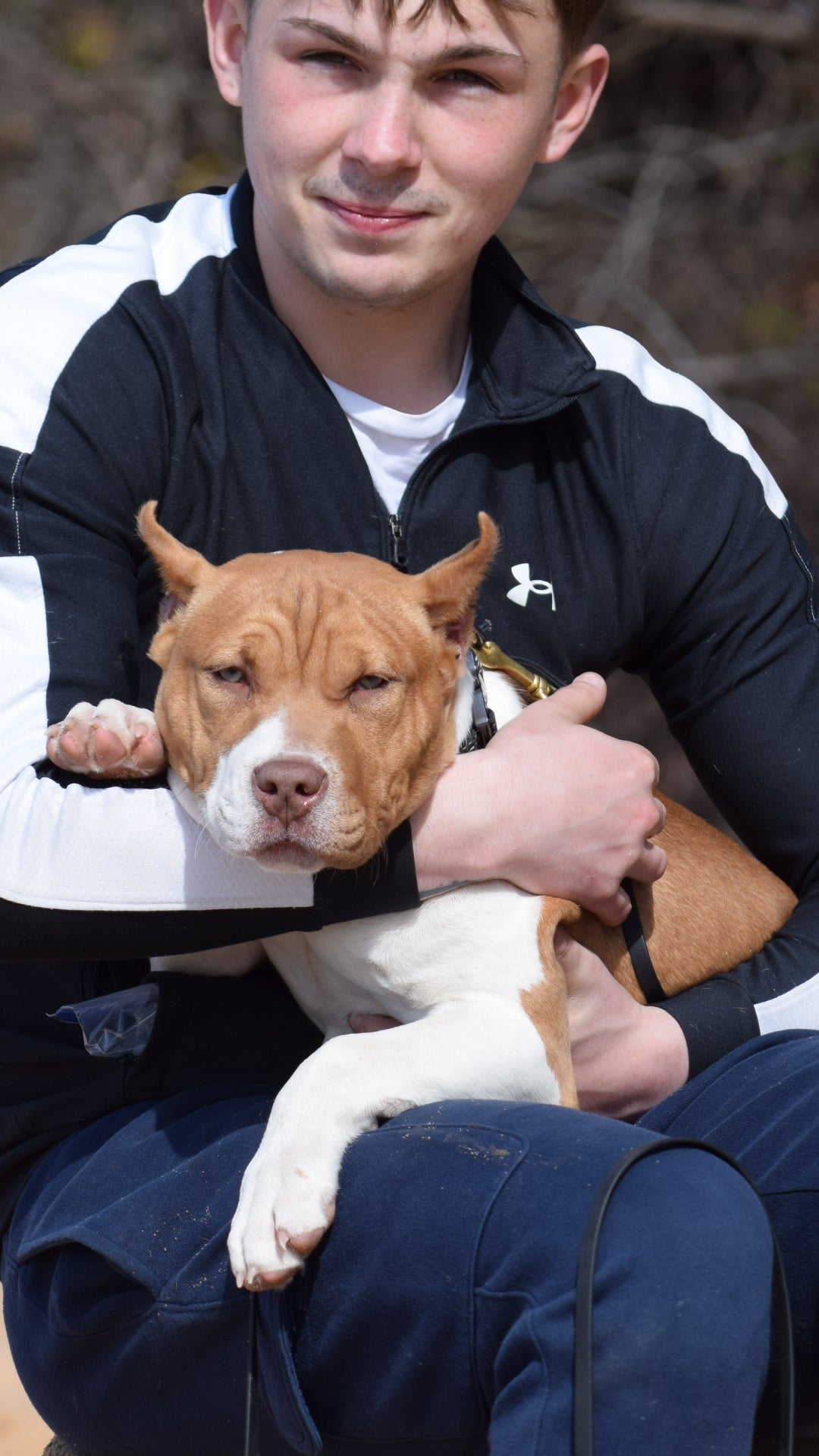 Ferd The Bull PR ⚔ PR BooJee Flash "Winnie" Female #2 - DOB: 10/16/24 * Training included