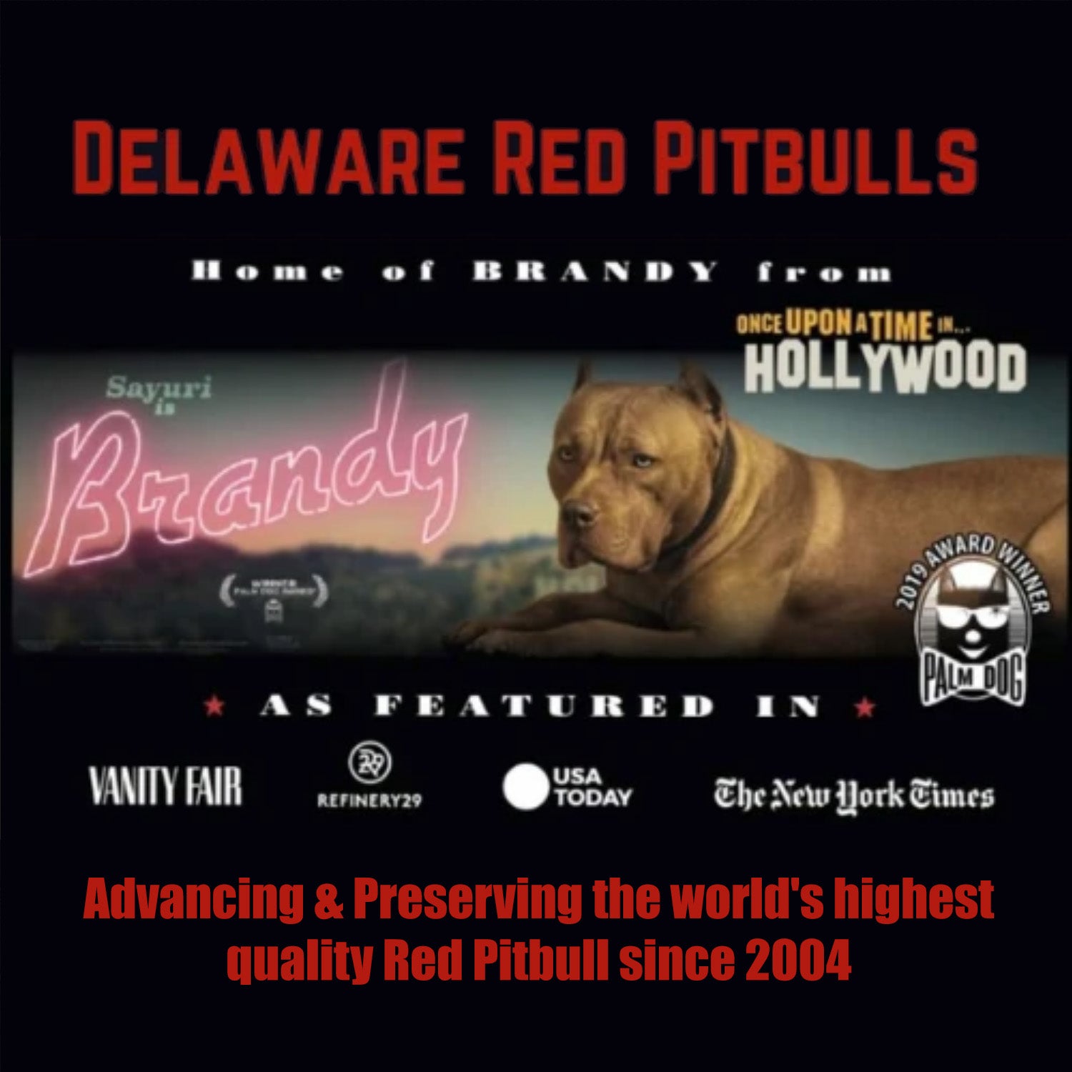 Brandy The Pitbull Once Upon Time in Hollywood Off Set Diet