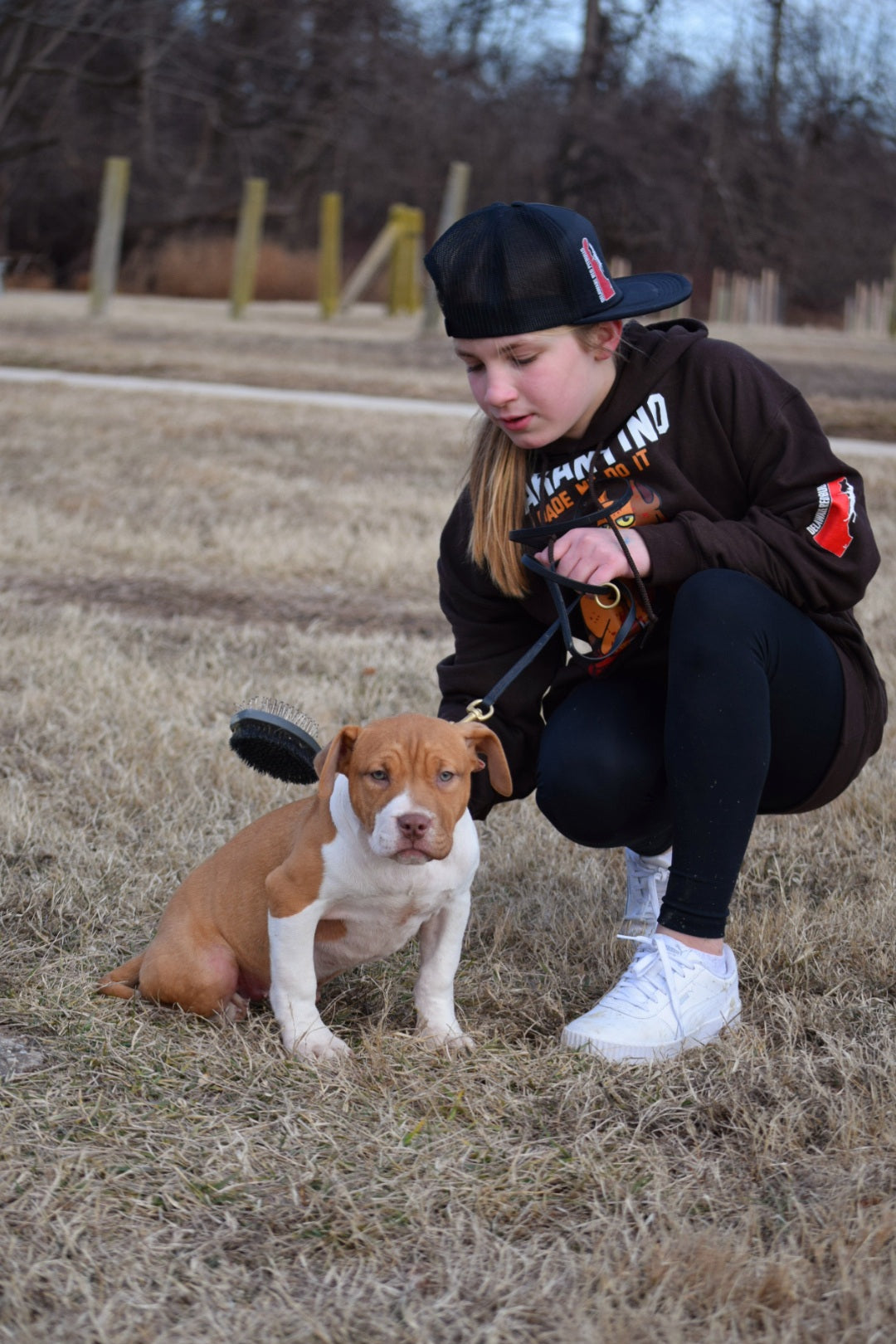 Ferd The Bull PR ⚔ PR BooJee Flash "Winnie" Female #2 - DOB: 10/16/24 * Training included