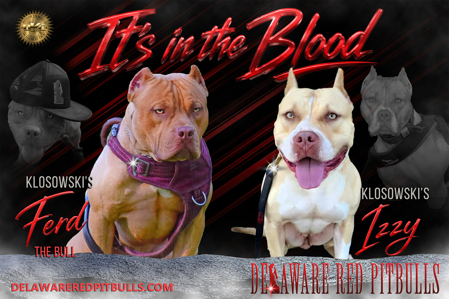 Ferd The Bull PR ⚔ PR Isabella aka Izzy * 1st pick Female * DOB: 7/24/26 * AVAILABLE