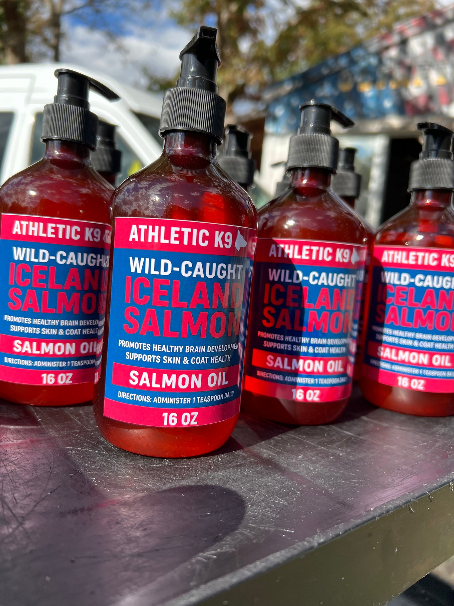 Wild Caught Iceland COLD PRESSED Salmon oil