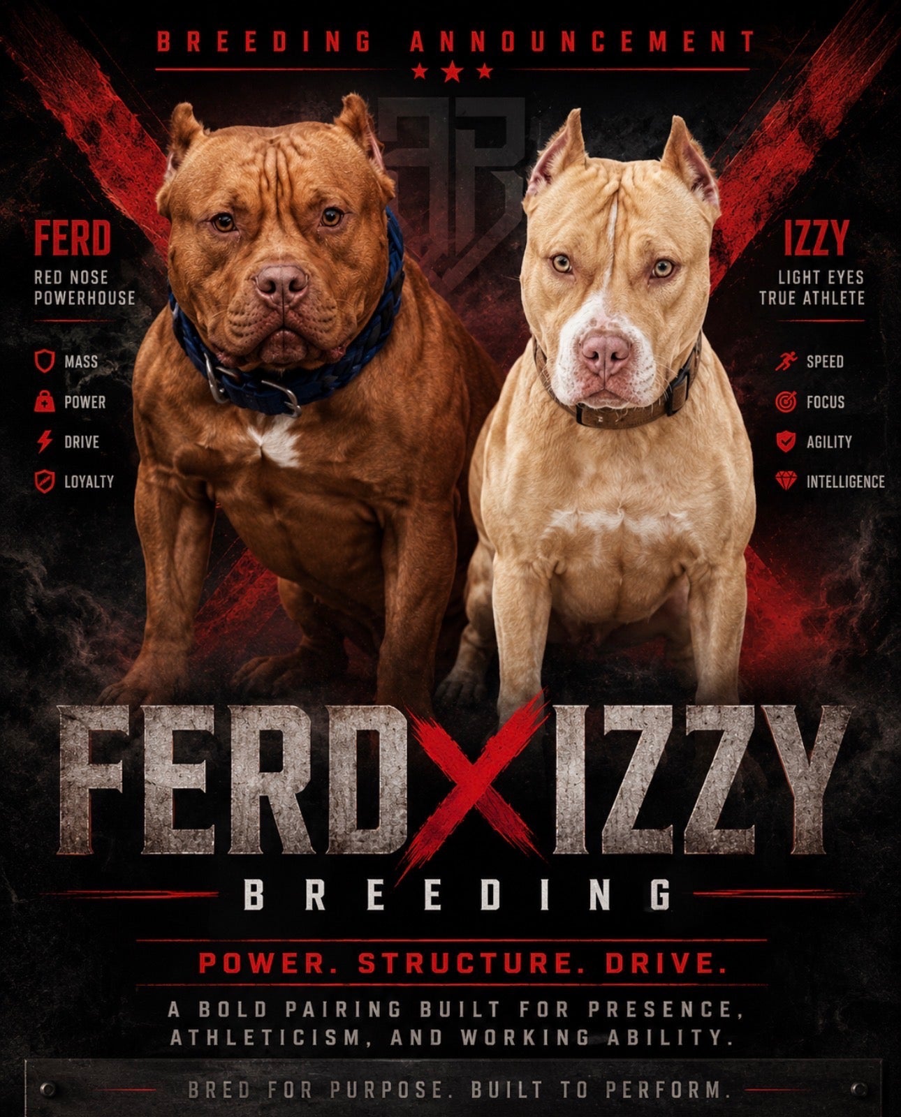 Ferd The Bull PR ⚔ PR Isabella aka Izzy * 1st pick Female * DOB: 7/24/26 * AVAILABLE