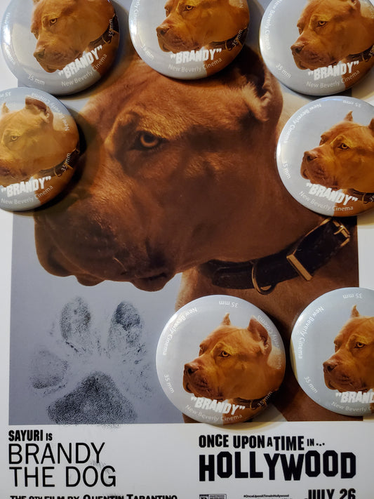 Brandy Buttons                                (shirt)
