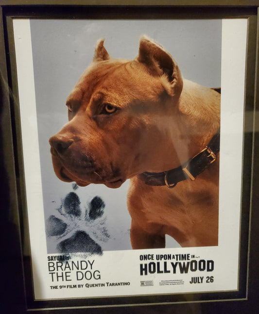 Brandy Pawtographed Official Picture. LIMITED