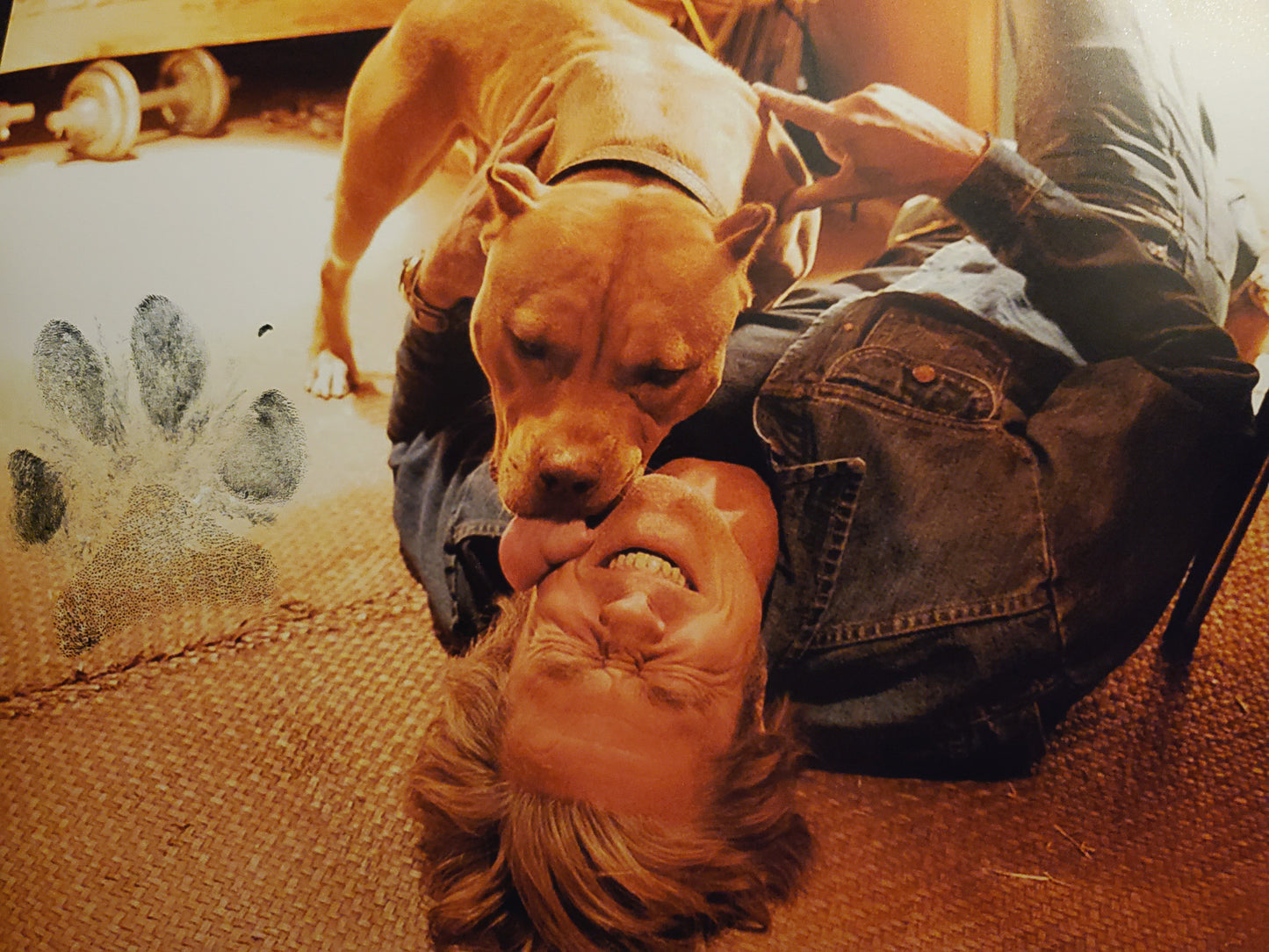 Brad Pitt - Brandy scene Pawtographed Picture by Sayuri. Official-authentic. LIMITED