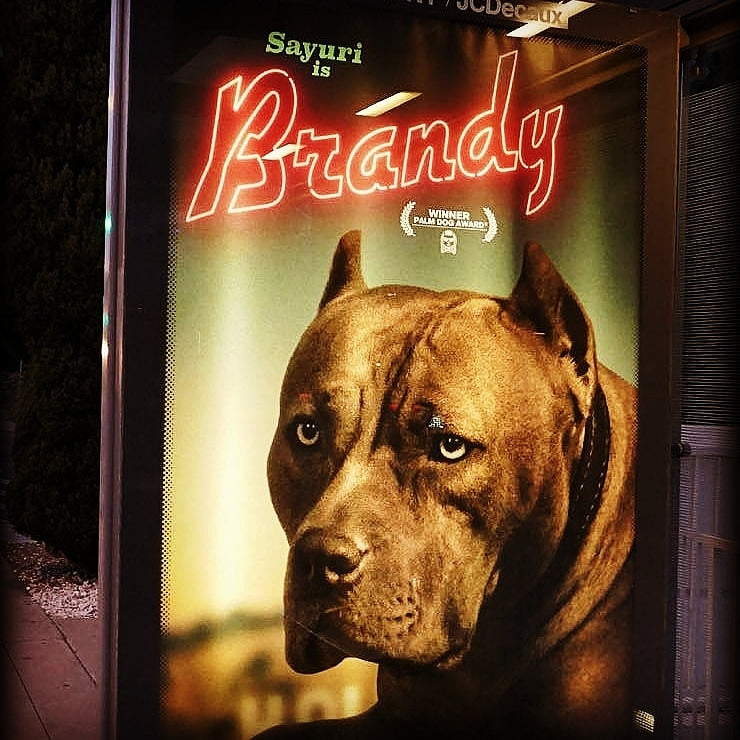 Brandy Pawtographed Official Picture. LIMITED