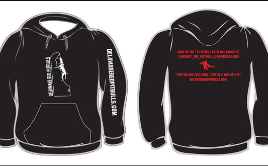 🚨 New Champion Hoodies 🚨 Black w/ Black Logo 🩸 New 2021 line 🩸 Soft High Qaulity Champion Brand